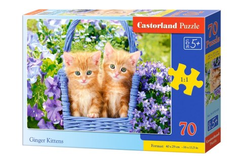 Puzzle 70 el. Ginger Kittens Castorland B-070169