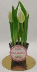 Kwiat w doniczce dla babci 24cm TULIPAN M93209 BABCIA