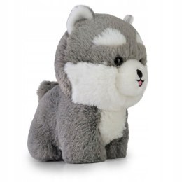 Maskotka Teddy Pets PIES HUSKY