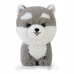 Maskotka Teddy Pets PIES HUSKY