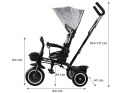 Rowerek dziecięcy trójkołowy Tiny Bike 3w1 z daszkiem OBRACANY SP0650SZ