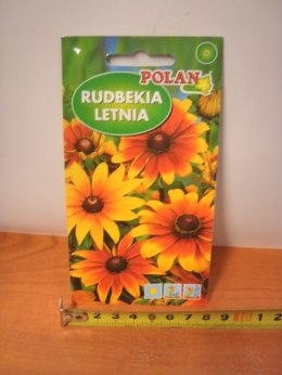 Nasiona 2g RUDBEKIA LETNIA PN3988