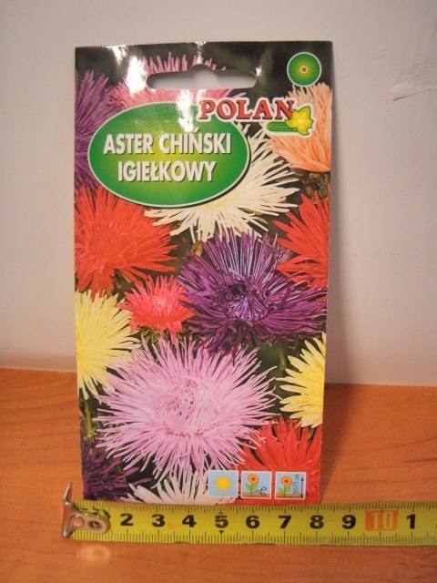 Nasiona ASTER CHIŃSKI IGIEŁKOWY PN3684