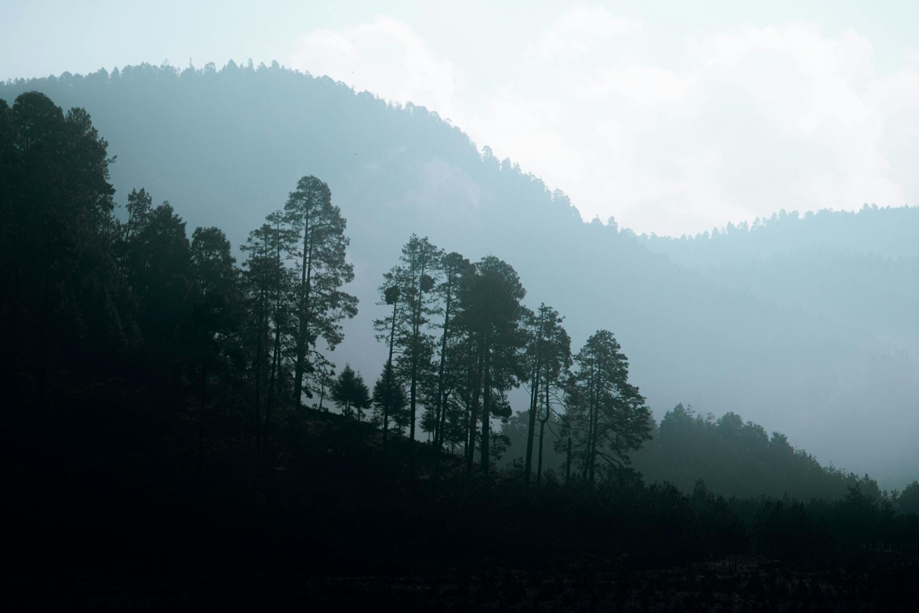 Silwetka lasu na tle mglistych gór w Valle de Bravo w Meksyku