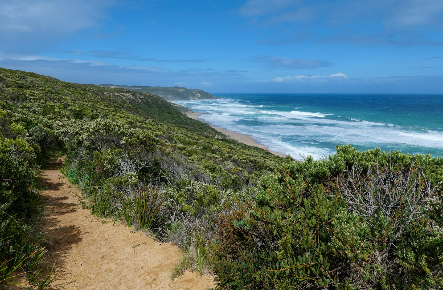 Najpiękniejsze nadmorskie trasy spacerowe w Polsce i Europie: przewodnik dla miłośników morza Zielone klify nad oceanem na słonecznym wybrzeżu Australii